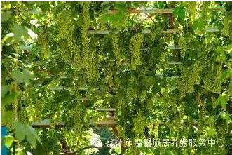 QQ截图20151123104825.jpg