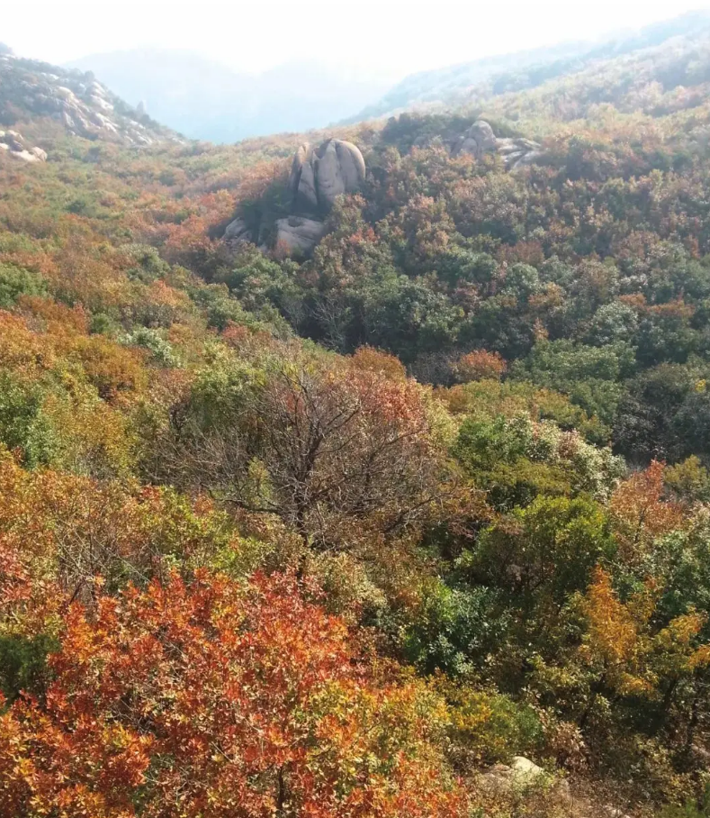 屏幕截图 2024-10-17 201336.png