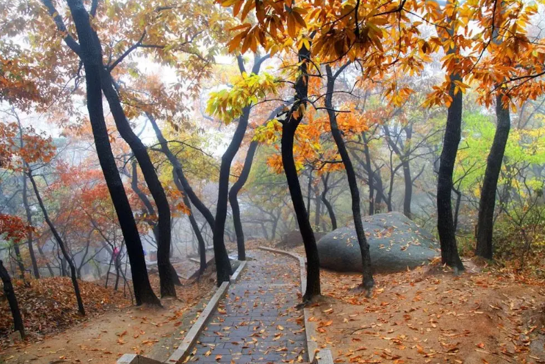 屏幕截图 2024-10-17 201447.png