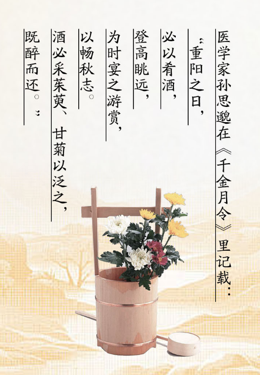 屏幕截图 2024-10-17 204154.png