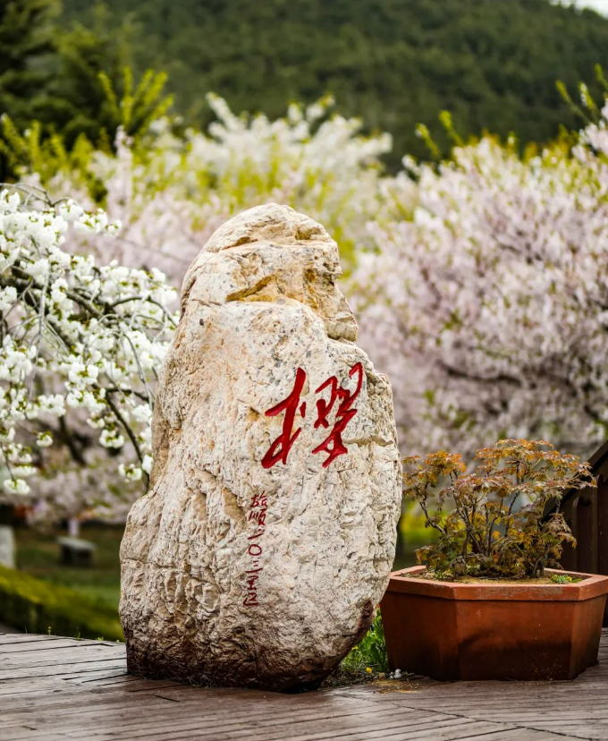 屏幕截图 2024-10-29 194241.png