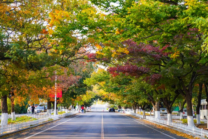 屏幕截图 2024-10-29 194602.png