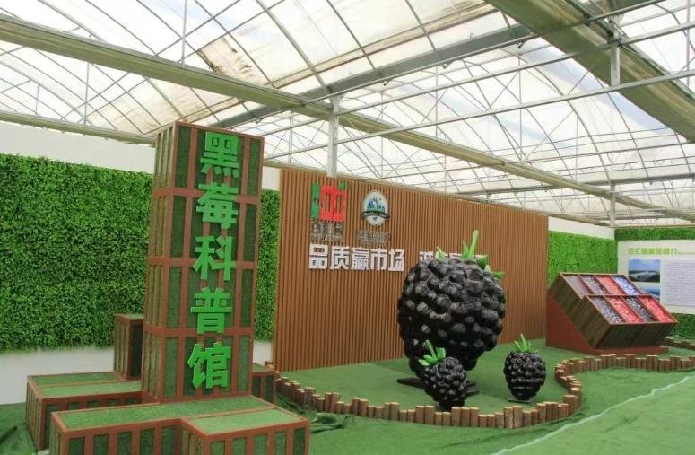 屏幕截图 2025-04-21 181015.png